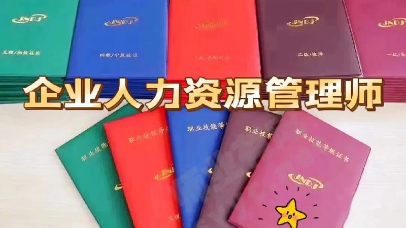 宁波企业人事外包定制方案：如何根据企业需求精准匹配